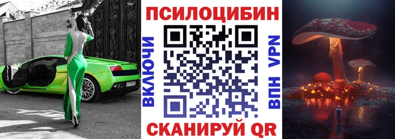 продажа наркотиков  Кедровый  Псилоцибиновые грибы GOLDEN TEACHER 